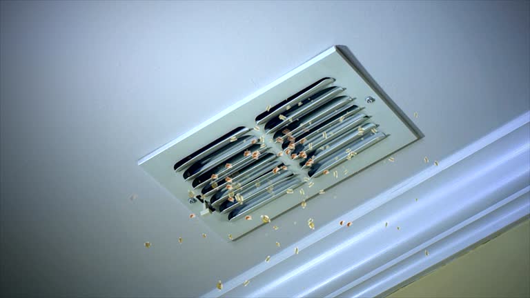 Best HVAC Air Duct Cleaning  in Fairlea, WV
